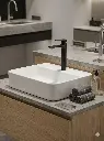image_e2584f63.webp