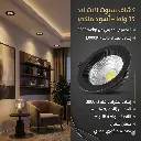 1781460398264.webp